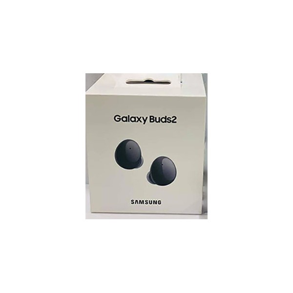 SAMSUNG Galaxy Buds 2 (Type_C)